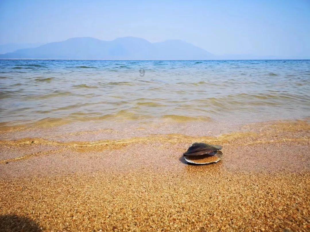 悦家生活餐厅加盟费多少？游戏画面