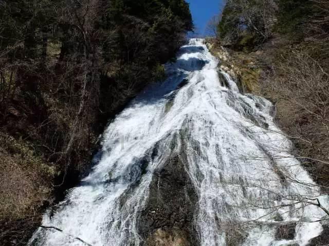 原始丛林找星星